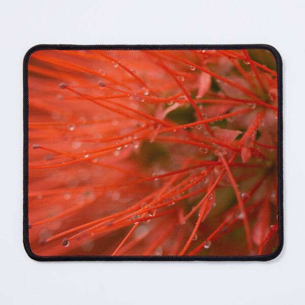 Item preview, Vibrant Red Powder Puff Flower with Water Droplets designed and sold by Anjuna Sainath.