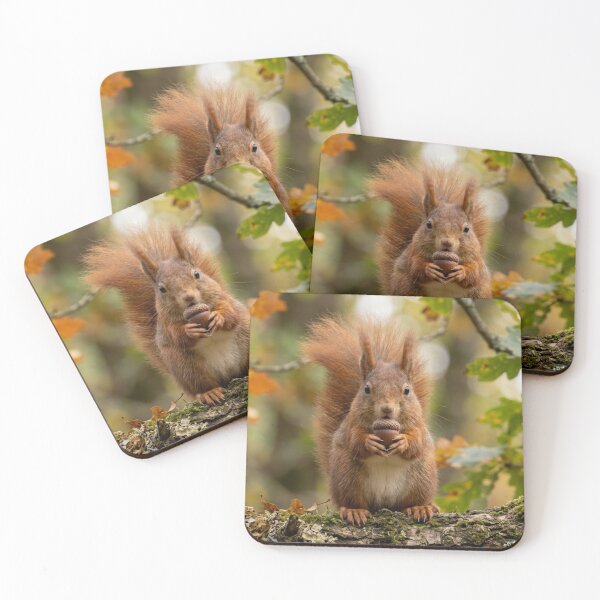 Item preview, A squirrel with an acorn in its hands. designed and sold by Malisa345.