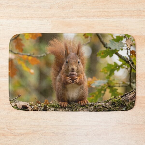 Item preview, A squirrel with an acorn in its hands. designed and sold by Malisa345.
