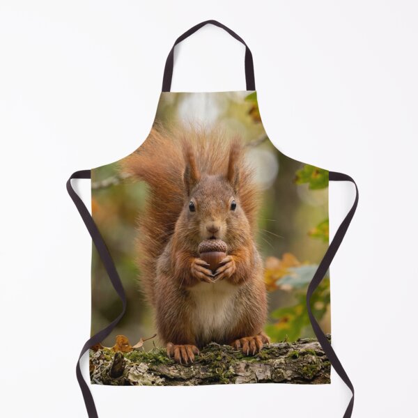 Item preview, A squirrel with an acorn in its hands. designed and sold by Malisa345.