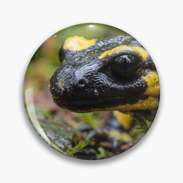 Item preview, Salamander in the rainforest. designed and sold by Malisa345.