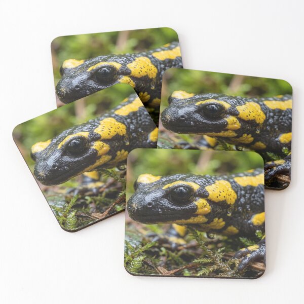 Item preview, Salamander in the rainforest. designed and sold by Malisa345.