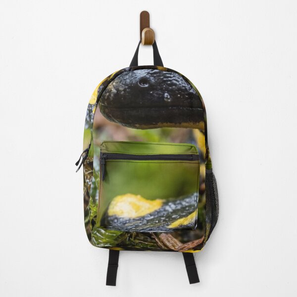 Item preview, Salamander in the rainforest. designed and sold by Malisa345.