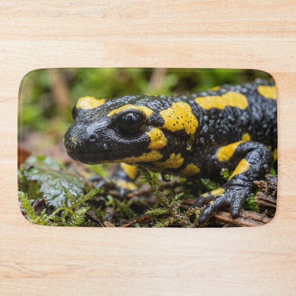 Item preview, Salamander in the rainforest. designed and sold by Malisa345.
