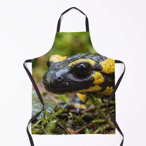 Item preview, Salamander in the rainforest. designed and sold by Malisa345.