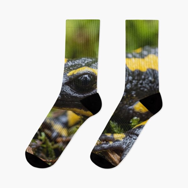 Item preview, Salamander in the rainforest. designed and sold by Malisa345.