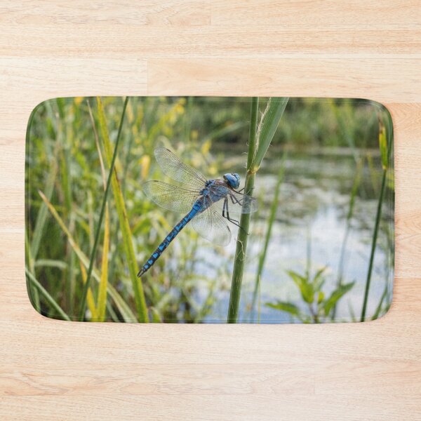 Item preview, Blue dragonfly landing on a reed. designed and sold by Malisa345.