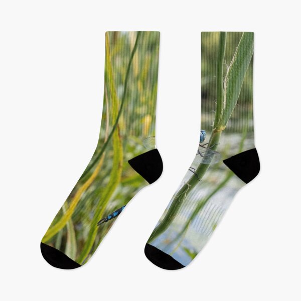 Item preview, Blue dragonfly landing on a reed. designed and sold by Malisa345.