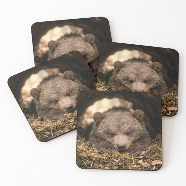Item preview, Bear cub asleep in its den. designed and sold by Malisa345.