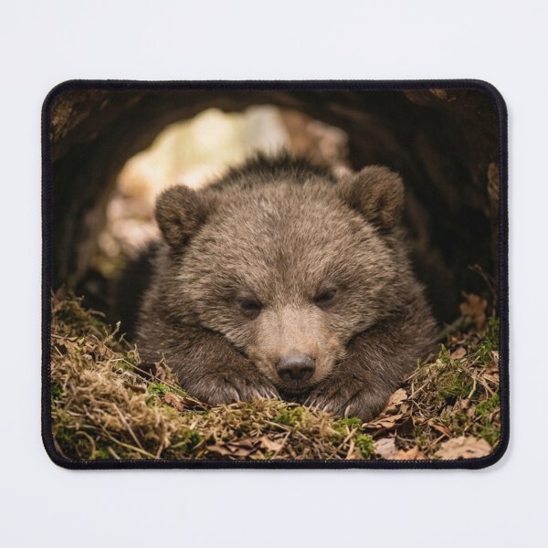 Item preview, Bear cub asleep in its den. designed and sold by Malisa345.