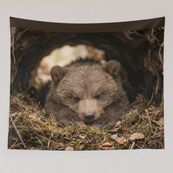 Item preview, Bear cub asleep in its den. designed and sold by Malisa345.