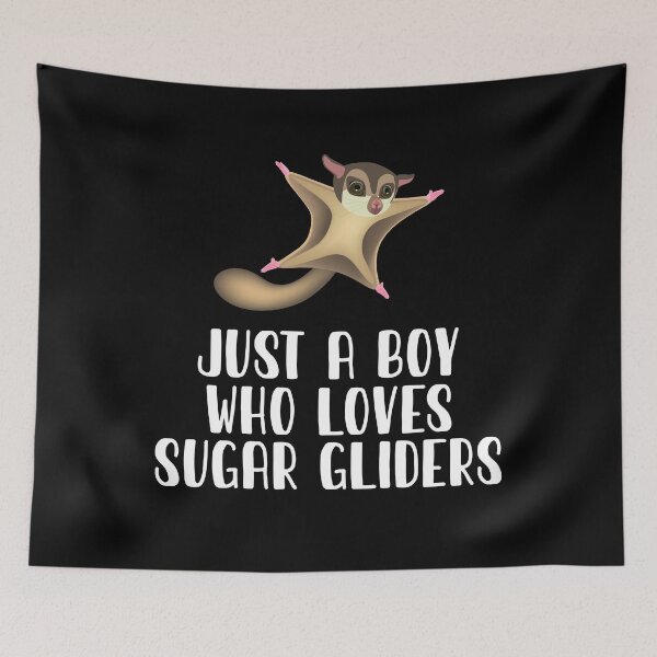 Item preview, Just A Boy Who Loves Sugar Gliders designed and sold by CosmoKitsch.