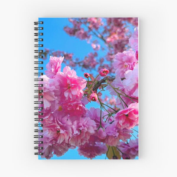 Item preview, Pretty Pink Cherry Blossom under a Blue Sky designed and sold by Violaman.