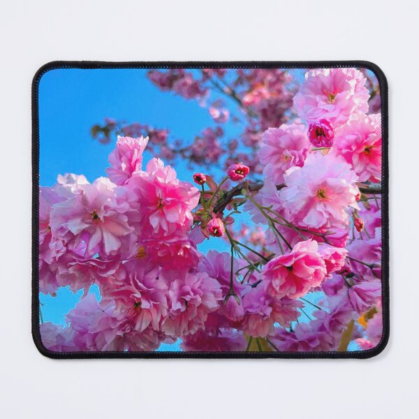 Item preview, Pretty Pink Cherry Blossom under a Blue Sky designed and sold by Violaman.
