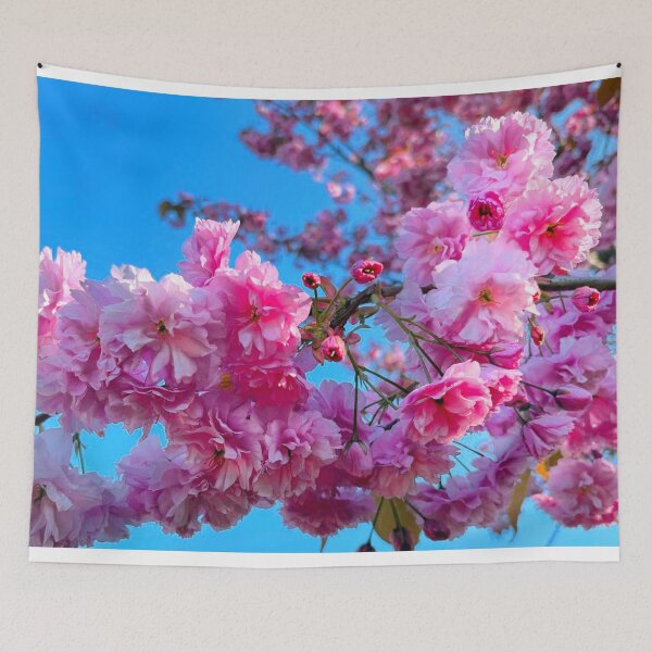 Item preview, Pretty Pink Cherry Blossom under a Blue Sky designed and sold by Violaman.