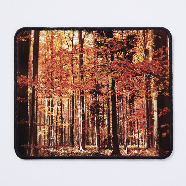 Item preview, Autumn forest designed and sold by AsahiNoAme.