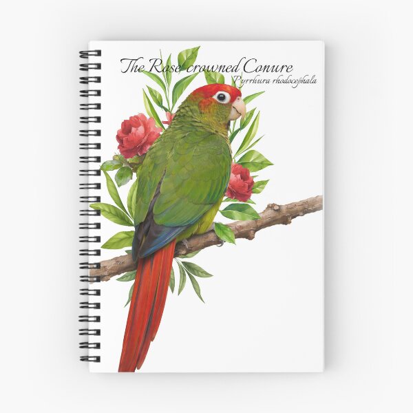 Item preview, The Rose-crowned conure Scientific illustration Design designed and sold by AvianDesign.