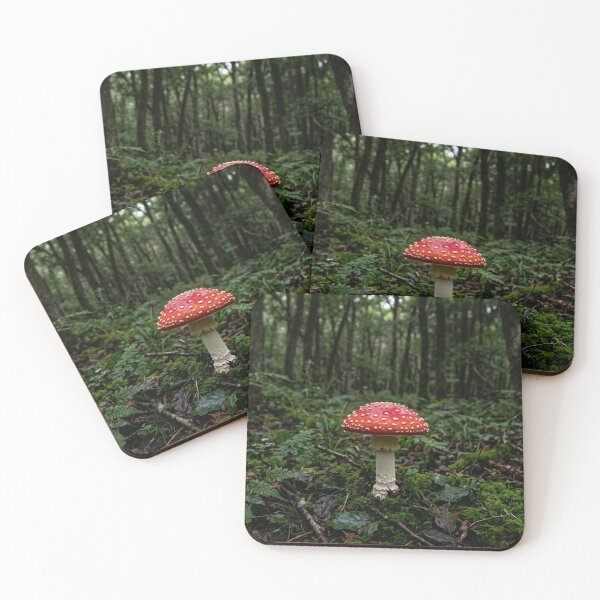Item preview, A solitary mushroom in the heart of the forest. designed and sold by Malisa345.