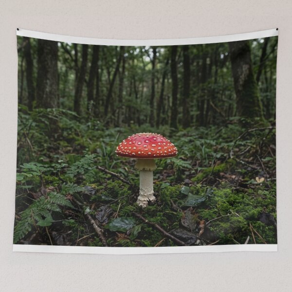 Item preview, A solitary mushroom in the heart of the forest. designed and sold by Malisa345.