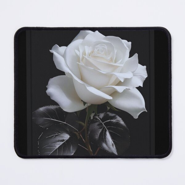 Item preview, White Rose on Black Background designed and sold by alldecorprints.