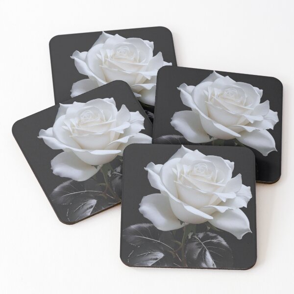 Item preview, White Rose on Black Background designed and sold by alldecorprints.