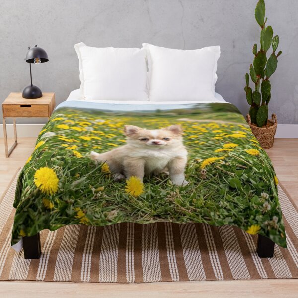Item preview, Long-haired Chihuahua puppy in a field of dandelions. designed and sold by Malisa345.