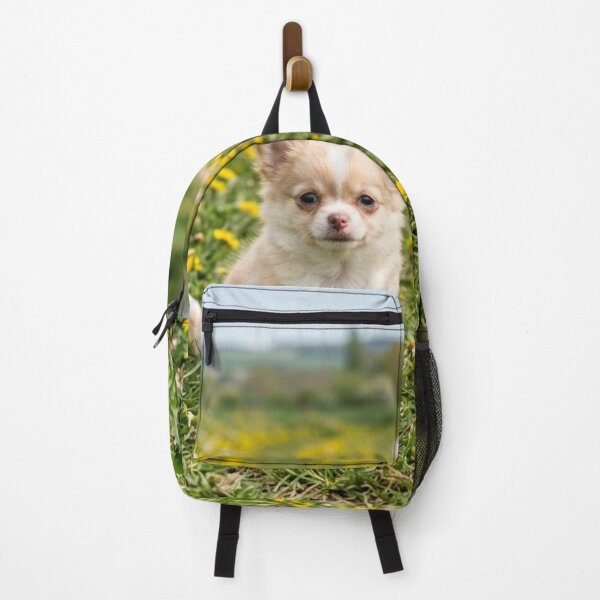 Item preview, Long-haired Chihuahua puppy in a field of dandelions. designed and sold by Malisa345.