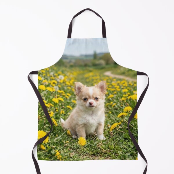 Item preview, Long-haired Chihuahua puppy in a field of dandelions. designed and sold by Malisa345.