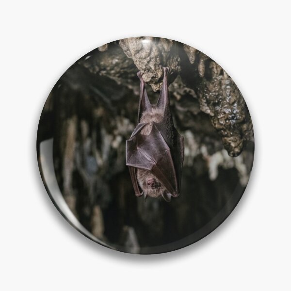 Item preview, Bat hanging in a cave. designed and sold by Malisa345.