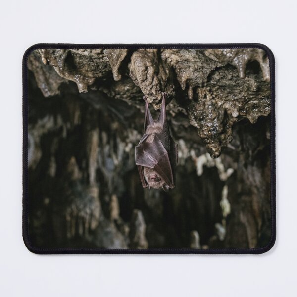 Item preview, Bat hanging in a cave. designed and sold by Malisa345.