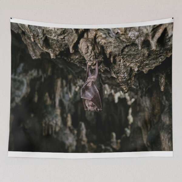 Item preview, Bat hanging in a cave. designed and sold by Malisa345.