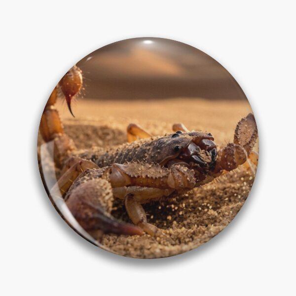 Item preview, Scorpion emerging from the desert sand. designed and sold by Malisa345.