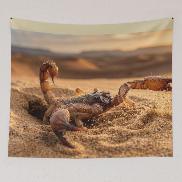 Aperçu de l'œuvre Scorpion émergeant du sable du désert. créée et vendue par Malisa345.