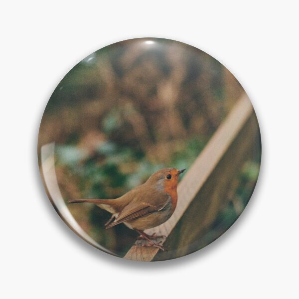 Item preview, A Robin in Fowey, Cornwall designed and sold by amarashootsfilm.