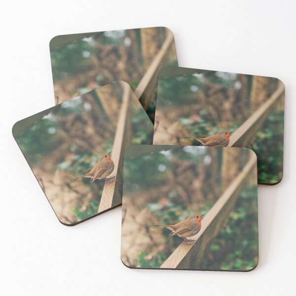 Item preview, A Robin in Fowey, Cornwall designed and sold by amarashootsfilm.