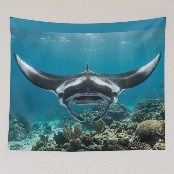 Item preview, Ray swimming underwater. designed and sold by Malisa345.