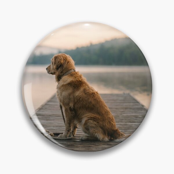 Item preview, Golden Retriever on a wooden dock facing the lake designed and sold by Malisa345.