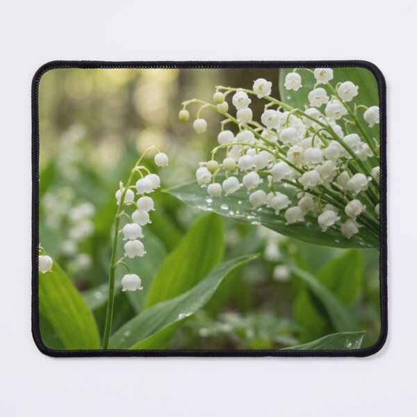 Item preview, Lily of the valley in bloom designed and sold by Malisa345.