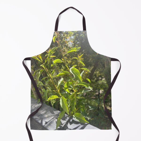 Item preview, What? Sunshine? -I didn’t Know designed and sold by 55synonyms.