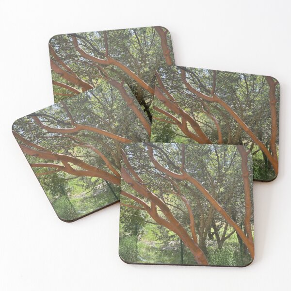 Item preview, Trees, Trees, Whimsical Trees designed and sold by 55synonyms.