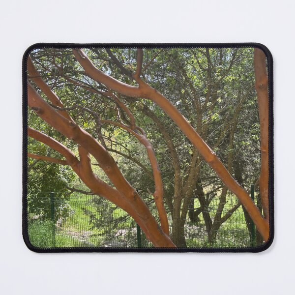 Item preview, Trees, Trees, Whimsical Trees designed and sold by 55synonyms.