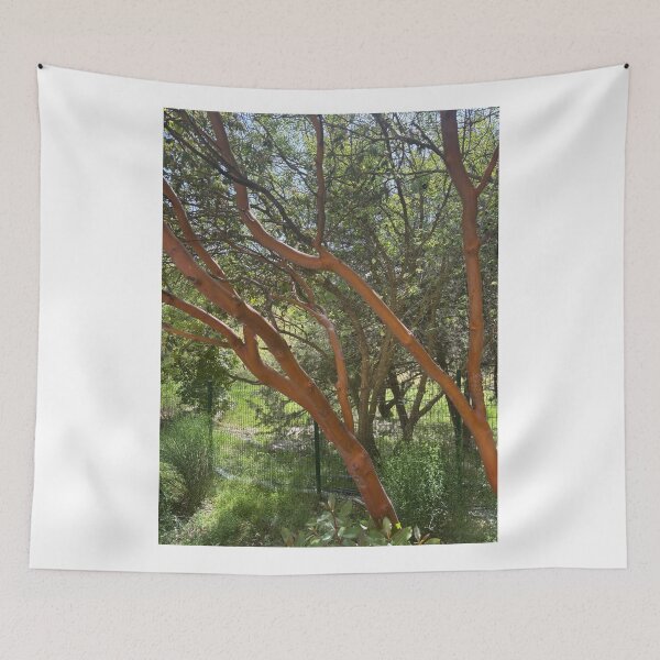 Item preview, Trees, Trees, Whimsical Trees designed and sold by 55synonyms.