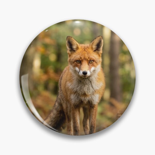 Item preview, Fox in a forest designed and sold by Malisa345.