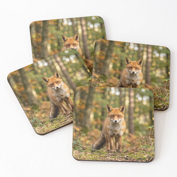 Item preview, Fox in a forest designed and sold by Malisa345.