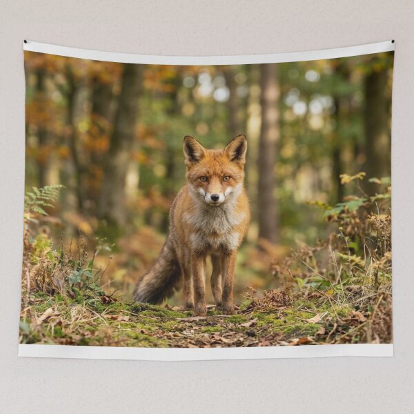 Item preview, Fox in a forest designed and sold by Malisa345.