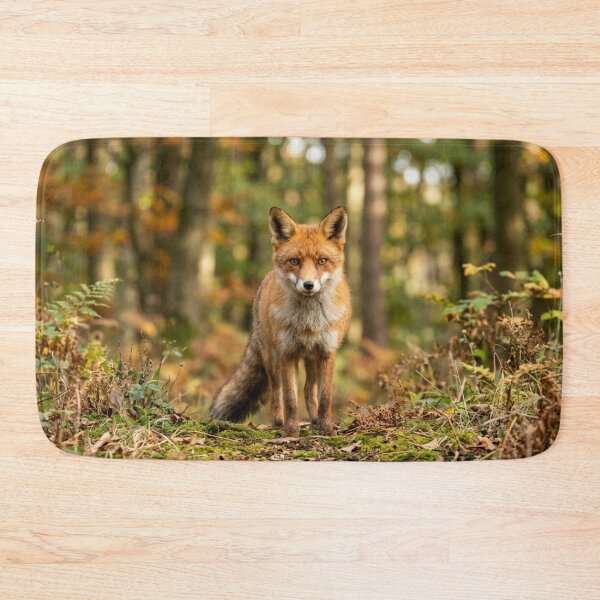 Item preview, Fox in a forest designed and sold by Malisa345.
