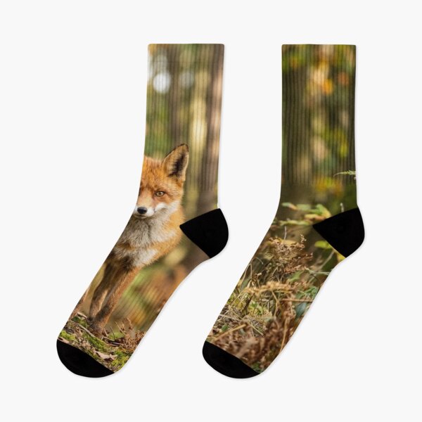 Item preview, Fox in a forest designed and sold by Malisa345.