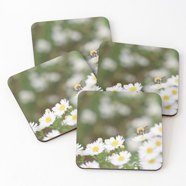 Item preview, Bumblebee Landing — Bee on White Aster Flowers designed and sold by JLNATURE.
