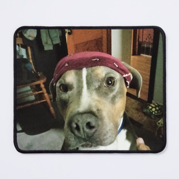 Item preview, Cool Dude designed and sold by EricWilliams80.