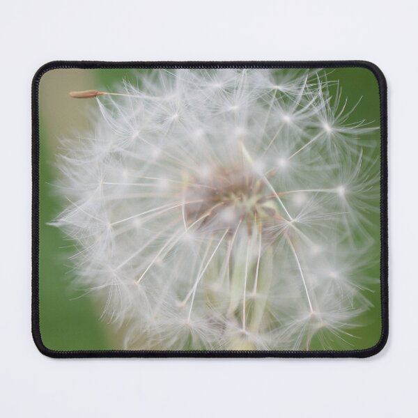 Item preview, Dandelion Dream — Seed Head in Soft Green Bokeh designed and sold by JLNATURE.